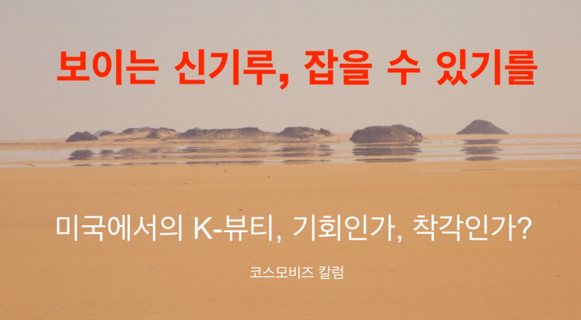 [칼럼] K-뷰티와 뷰티서플라이